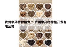 <b>������ҩ����ֲ��,������ҩ����ֲ�������޹�˾</b>