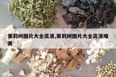 <b>������ͼƬ��ȫ����,������ͼƬ��ȫ����Ψ��</b>