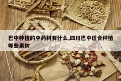 <b>������ֲ����ҩ����ʲô,�Ĵ������ʺ���ֲ��Щ����</b>