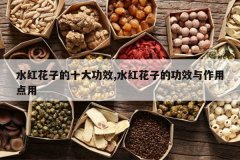 <b>ˮ컨ӵʮЧ,ˮ컨ӵĹЧõ</b>