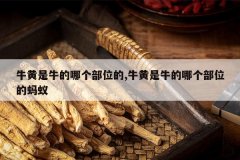 <b>ţ����ţ���ĸ���λ��,ţ����ţ���ĸ���λ������</b>