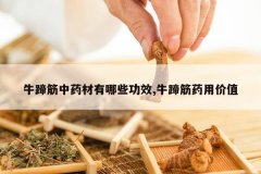 <b>ţ�����ҩ������Щ��Ч,ţ���ҩ�ü�ֵ</b>