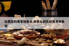 <b>�ž黨��Ԣ�������,��ɫ�ž黨��Ԣ�������</b>