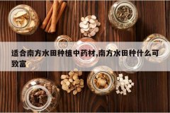 <b>�ʺ��Ϸ�ˮ����ֲ��ҩ��,�Ϸ�ˮ����ʲô���¸�</b>