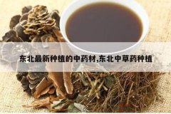 <b>����������ֲ����ҩ��,�����в�ҩ��ֲ</b>