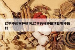 <b>������ҩ����ֲ��,����ҩ����ֲ��Ŀ�������</b>