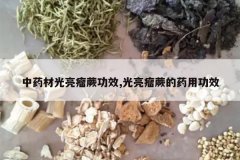 <b>��ҩ�Ĺ�����ާ��Ч,������ާ��ҩ�ù�Ч</b>