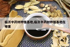 <b>������ҩ����ֲ����,������ҩ����ֲ����������</b>