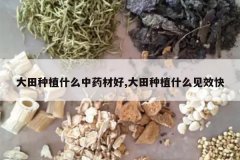 <b>������ֲʲô��ҩ�ĺ�,������ֲʲô��Ч��</b>