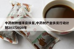 <b>��ҩ����ֲ��Ŀ��ƶ,��ҩ�Ĳ�ҵ��ƶ�ж��ƻ�20172020��</b>