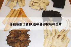 <b>��ź����λ����,��ź����λ����ͼƬ</b>