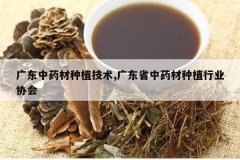 <b>�㶫��ҩ����ֲ����,�㶫ʡ��ҩ����ֲ��ҵЭ��</b>