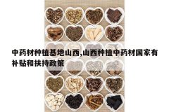 <b>��ҩ����ֲ����ɽ��,ɽ����ֲ��ҩ�Ĺ����в����ͷ�������</b>