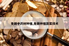 <b>�����ҩ����ֲ,�����ֲ�߲˼���</b>