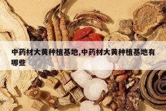 <b>��ҩ�Ĵ����ֲ����,��ҩ�Ĵ����ֲ��������Щ</b>