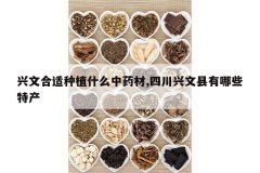 <b>���ĺ�����ֲʲô��ҩ��,�Ĵ�����������Щ�ز�</b>