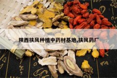 <b>����������ֲ��ҩ�Ļ���,����ҩ��</b>