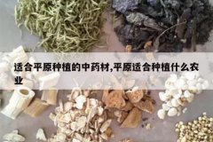 <b>�ʺ�ƽԭ��ֲ����ҩ��,ƽԭ�ʺ���ֲʲôũҵ</b>