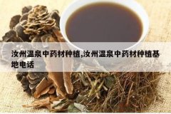 <b>������Ȫ��ҩ����ֲ,������Ȫ��ҩ����ֲ���ص绰</b>