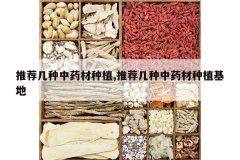 <b>�Ƽ�������ҩ����ֲ,�Ƽ�������ҩ����ֲ����</b>