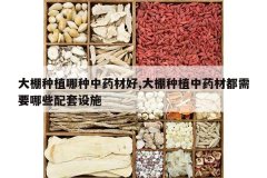 <b>������ֲ������ҩ�ĺ�,������ֲ��ҩ�Ķ���Ҫ��Щ������ʩ</b>