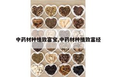 <b>��ҩ����ֲ�¸���,��ҩ����ֲ�¸���</b>