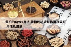 <b>�ưصĹ�Ч5�÷�,�ưصĹ�Ч�����ü�����,�÷�������</b>