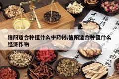 <b>�����ʺ���ֲʲô��ҩ��,�����ʺ���ֲʲô��������</b>