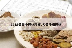 <b>2018������ҩ����ֲ,������ֲҩ��</b>