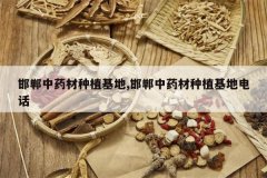 <b>������ҩ����ֲ����,������ҩ����ֲ���ص绰</b>