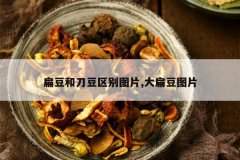 <b>�ⶹ�͵�������ͼƬ,��ⶹͼƬ</b>