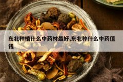 <b>������ֲʲô��ҩ�����,������ʲô��ҩֵǮ</b>