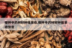 <b>������ҩ�ĺ���ֲ����,������ҩ�ĺ���ֲ���տ�Щ</b>