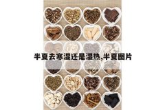 <b>����ȥ��ʪ����ʪ��,����ͼƬ</b>