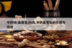 <b>��ҩ��(ɣ����)��Ч,��ҩɣ�����������빦Ч</b>