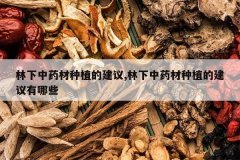 <b>������ҩ����ֲ�Ľ���,������ҩ����ֲ�Ľ�������Щ</b>