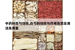 <b>��ҩ�İ��׹�Ч,���ֵĹ�Ч�����ü������÷�������</b>