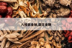 <b>�����Ͻ��,�������</b>