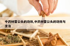 <b>��ҩ���׹�ͷ�Ĺ�Ч,��ҩ���׹�ͷ�Ĺ�Ч������</b>