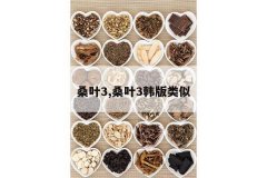 <b>ɣҶ3,ɣҶ3��������</b>