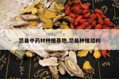 <b>������ҩ����ֲ����,������ֲ�ṹ</b>