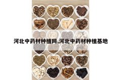 <b>�ӱ���ҩ����ֲ��,�ӱ���ҩ����ֲ����</b>