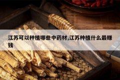 <b>���տ�����ֲ��Щ��ҩ��,������ֲʲô��׬Ǯ</b>