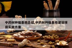 <b>��ҩ����ֲ�����ܽ�,��ҩ����ֲ���ؽ�����Ŀʵʩ����</b>