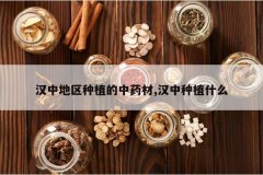 <b>���е�����ֲ����ҩ��,������ֲʲô</b>