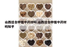 <b>ɽ���ʺ���ֲ��ҩ����,ɽ���ʺ���ֲ��ҩ����֪��</b>