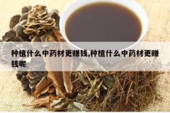 <b>��ֲʲô��ҩ�ĸ�׬Ǯ,��ֲʲô��ҩ�ĸ�׬Ǯ��</b>