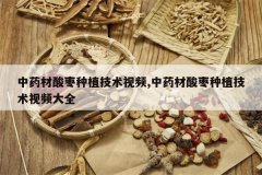 <b>��ҩ��������ֲ������Ƶ,��ҩ��������ֲ������Ƶ��ȫ</b>