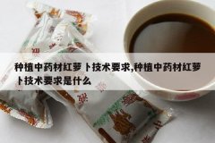 <b>��ֲ��ҩ�ĺ��ܲ�����Ҫ��,��ֲ��ҩ�ĺ��ܲ�����Ҫ����ʲô</b>