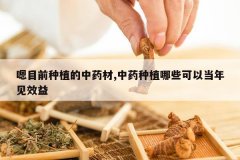 <b>��Ŀǰ��ֲ����ҩ��,��ҩ��ֲ��Щ���Ե����Ч��</b>